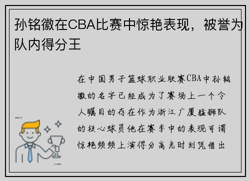 孙铭徽在CBA比赛中惊艳表现，被誉为队内得分王